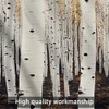 HDESDIS 1 Panel White Birch Tree Valances for Windows, Forest