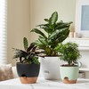 FaithLand 3-Pack Large Planter Pots, 12 10 9 Inch Self