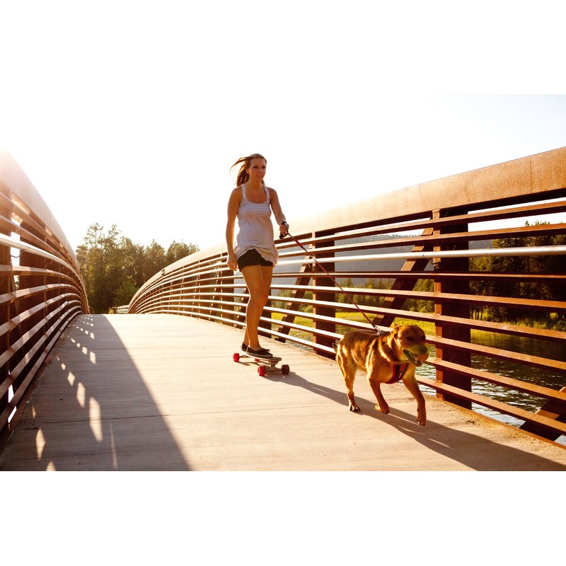 EzyDog Cujo Dog Lead, 25 inch, Red