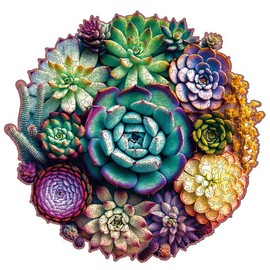 Mys Aurora Unique Wooden Puzzles Sea Turtle Jigsaw Puzzle 200 Pieces HDF Wooden Puzzle with Vivid Art and Imaginative Design for Adults and Kids:_200pcs Succulent World