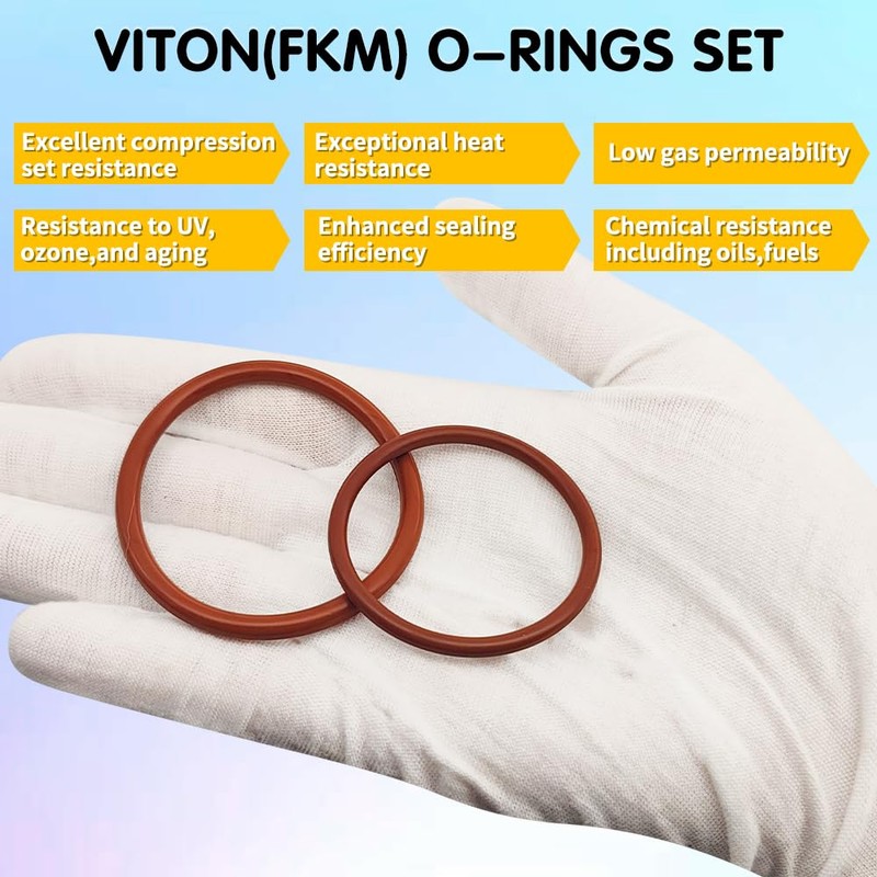 Langina 396PCS 30Sizes Viton O-Ring Kit, Metric Viton O Ring