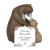 Charming Brown Mother & Baby Bear Hug Ornament - 11.5cm