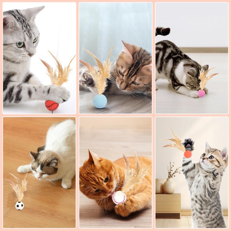 prota 6 PCS Cat Bouncy Ball With Feather, Bouncy Tails