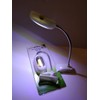 Unbranded LED Reading Book Light w/Clip Flexible Bed Travel Desk