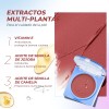 Sace Lady Crema 3 En 1 Rubor, Labial Y Sombra