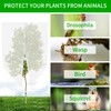 Large Fruit Tree Netting, Cookmaster 10x10Ft Insect Bird Barrier Netting