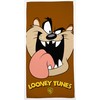 Looney Tunes Soft Vibrant Beach, Bath and Pool Towel, Size