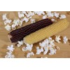 Amish Country Popcorn | Old Fashioned Microwave Popcorn | Non-GMO,