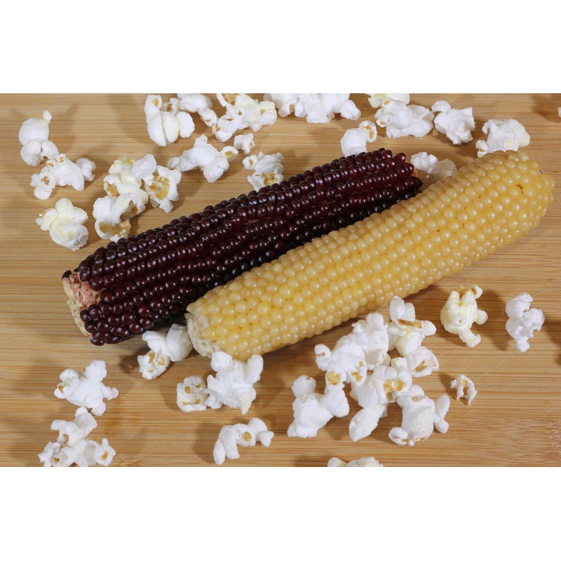 Amish Country Popcorn | Old Fashioned Microwave Popcorn | Non-GMO,