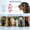 CleverTail XL Metal Dog Muzzle for Large Sized Dogs –