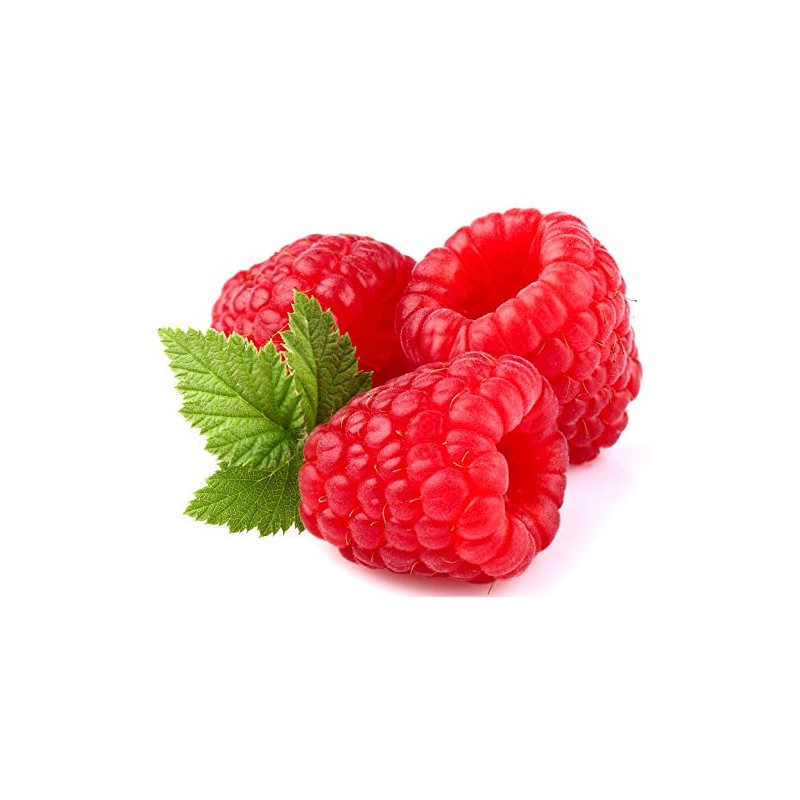 Flavour World Professional Powdered Food Flavouring 40g or 80g tubs