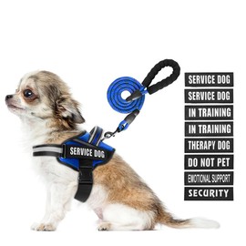 Service Dog Vest Harness and Leash Set, Animire in Training Dog Harness with 10 Dog Patches, Reflective Dog Leash with Soft Padded Handle for Small, Medium, Large, and Extra-large Dogs (Blue, XS)