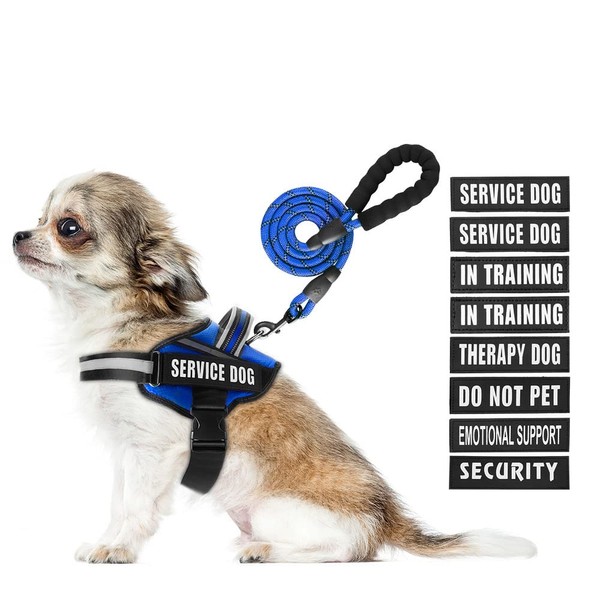 Service Dog Vest Harness and Leash Set, Animire in Training