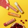 Burt's Bees Bálsamo Labial Sabor a Frutas - Superfruit Lipbalm