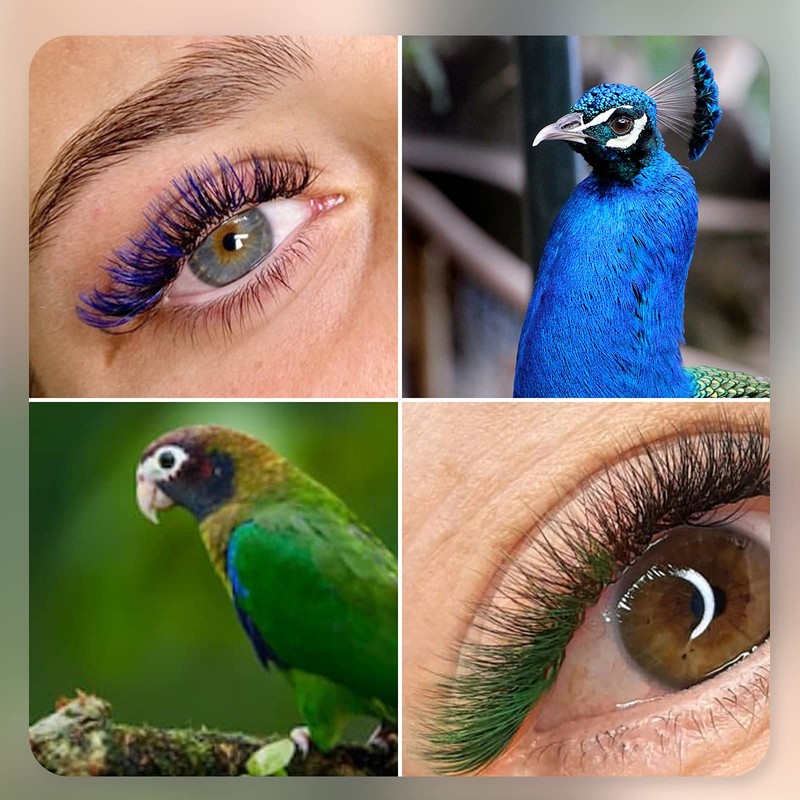 EMEDA Green Eyelash Extension Flat Eyelashes Colourful Green Light Eyelash