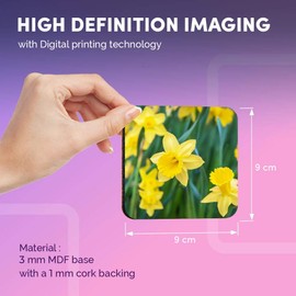 Destination Vinyl ltd Great Coasters (Set of 4) Square - Daffodil Flower Field Easter Drink Glossy Coasters/Tabletop Protection for Any Table Type #14350