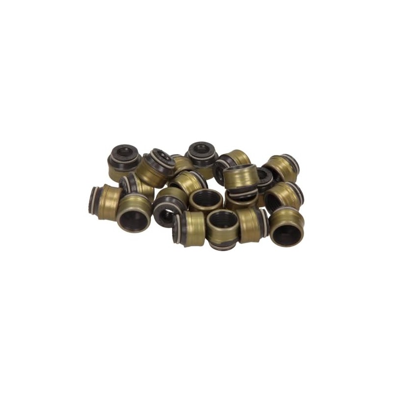 Reinz 12-31306-03 Gasket Kit, Valve Stem