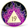 LREQASOR Purple Flames Sobriety Coin 19 Year AA Chip Recovery