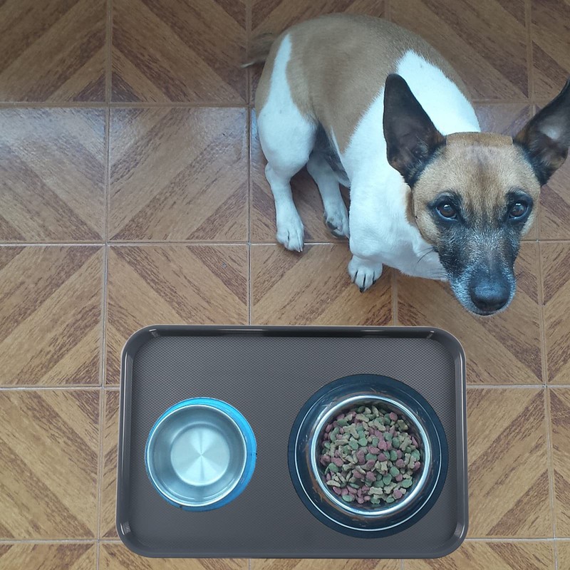 Kiddream 6-Pack Large Grey Boot Trays, Rectangular Serving Tray Shoe