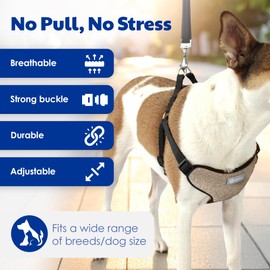 AKC Premium Padded Step-in Dog Harness – Soft Comfort Fit with Dual D-Ring No Pull Control – Small, Medium, Large – Blue, Gray, Green, Tan