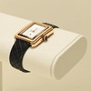 Papten J00301 Watch Stand, For 2 Pieces, Microfiber, Luxury, Stylish,