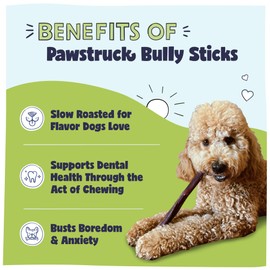 Pawstruck Natural 8-12" Bully Sticks for Dogs - Best Long Lasting, Rawhide Free, Low Odor & Grain Free Dental Chew Treat - Healthy Single Ingredient 100% Real Beef - 1 lb Bag - Packaging May Vary