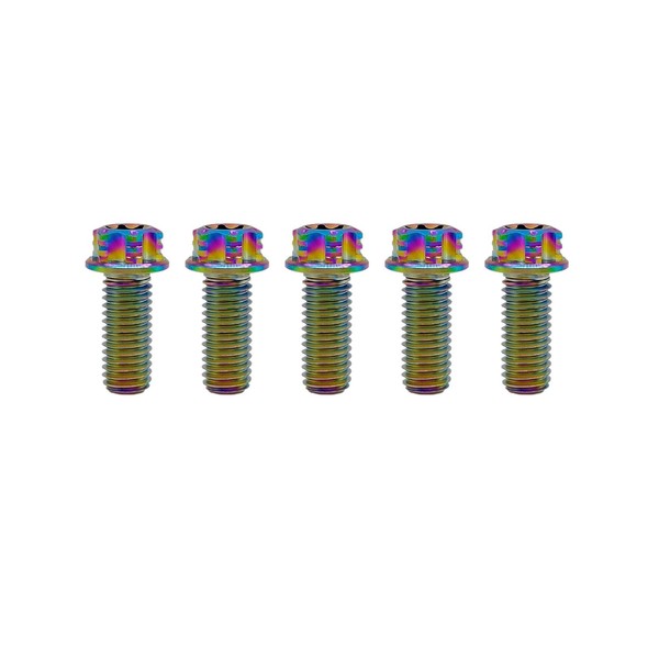 Tornillos de titanio RISON M6 x 1.0 Torx de titanio