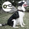 PoyPet Dog Leash 5 Feet for Small Medium and Large