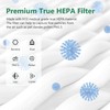 2 Packs HAP-603 Replacement Filter Compatible with ECOSELF HAP603 Air