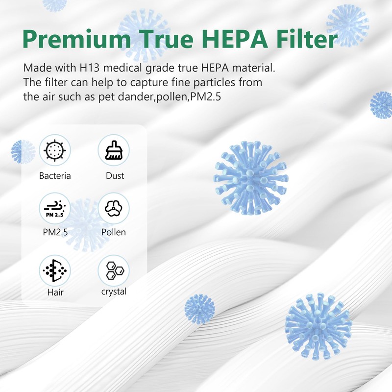 2 Packs HAP-603 Replacement Filter Compatible with ECOSELF HAP603 Air