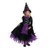 Fairytale Witch Toddler Costume おとぎ話の魔女幼児用コスチューム♪ハロウィン♪サイズ：4-6