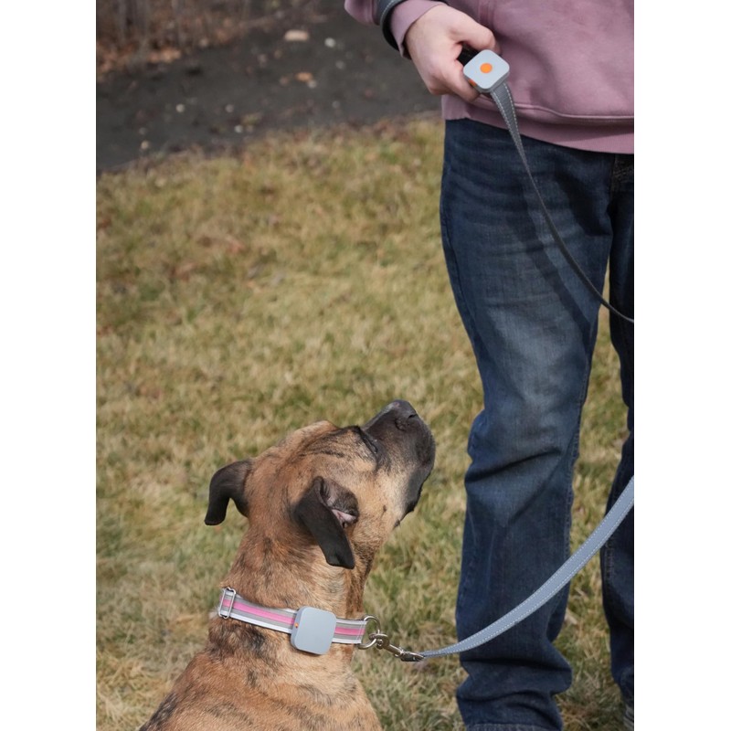 Dog Training Collar with Remote Controller - E Collar for