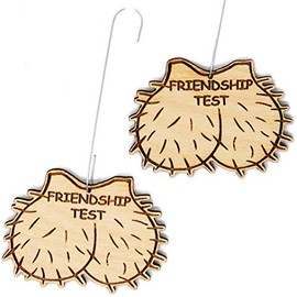 Bestie Testes Friendship Test Christmas Ornament Set | Holiday Gag Gift for Friends