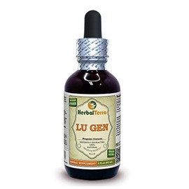 Lu Gen, Reed (Phragmites Communis) Tincture, Dried Root Liquid Extract (Brand Name: HerbalTerra, Proudly Made in USA) 2 fl.oz (60 ml)
