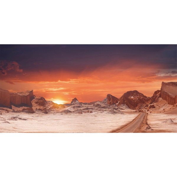 AWERT 48x24 inches Sun and Desert Terrarium Background Orange Reptile
