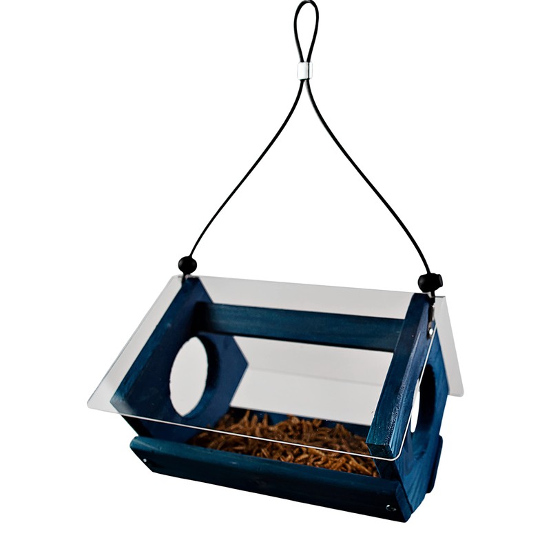 Backyard Essentials Petite Bluebird Feeder with Plexiglass Roof and Powder