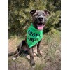 Pawskido Adopt Me - Bandana para perros, Paquete de 5