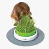 Catit Cat Grass Kit for the Catit Senses Grass Planter,