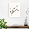 REINDERS Eucalyptus Framed Picture - MDF - 40 x 50