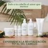 EVA AVO Dúo de Champú Acondicionador