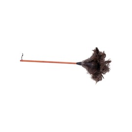 Redecker Ostrich Feather Duster with Varnished Wooden Handle, 35-3/8-Inches