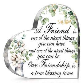 Spiareal Friends Gifts for Women Friendship Bestie Plaque Thanksgiving Christmas Best Flower Sister Birthday Thank You Gift for Female Acrylic Friendship(Eucalyptus)