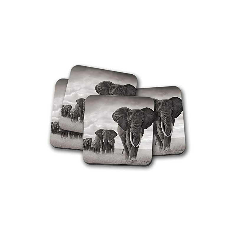 4 Set - Elephant Herd Coaster - Safari Africa Zoo