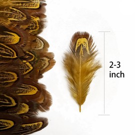 50 pcs Natural Pheasant Plumage Feathers 2-3 Inches Plumage Feathers for Sewing Crafts Clothing Decorating Accessories -Gold