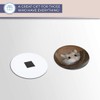 Destination Vinyl ltd Magnet for Refrigerator, Fridge - Cute Little