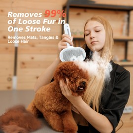 wisafoi Steam Dog Brush for Shedding & Grooming - Self-Cleaning Deshedding Brush with Spritz Function, Slicker Pet Spray Hair Removal Comb | Defurring Tool for Long and Short Haired Dogs Cats (White)