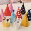 Birthday Hat Crown For Festival Birthday Party Set 11 Pcs