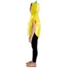 Charlie Crow Lemon Fruit Costume for kids 3-8 years.