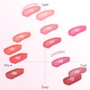 AMUSE Dew Tint - 01 La Vie En Coral