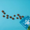 Chocolate Covered Macadamia Nuts, Milk Chocolate Flavor, .6 Oz Bag